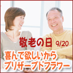 2010ǯ�١���Ϸ������9/20